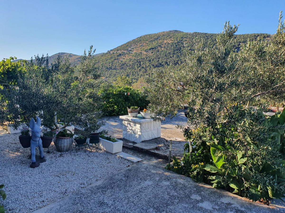 Apartman Mare Šibenik Exterior foto