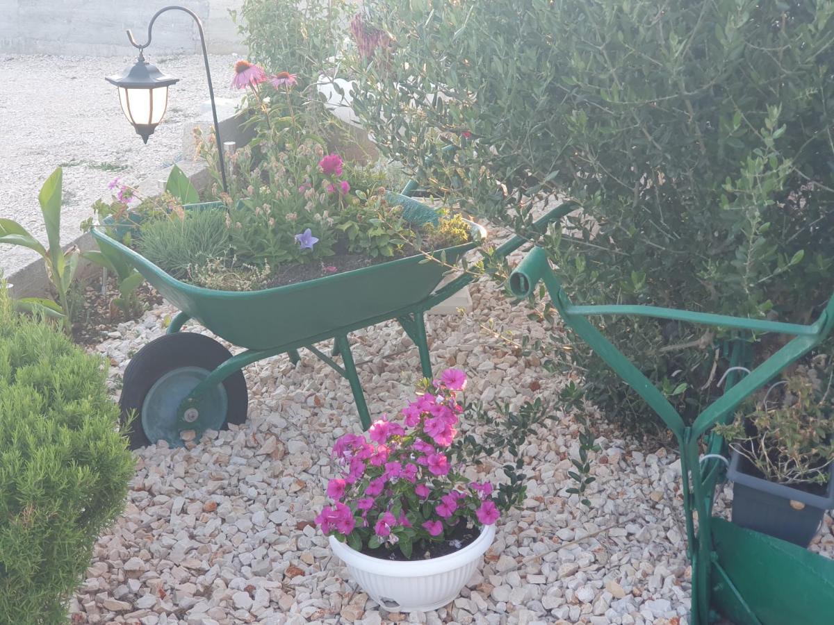 Apartman Mare Šibenik Exterior foto